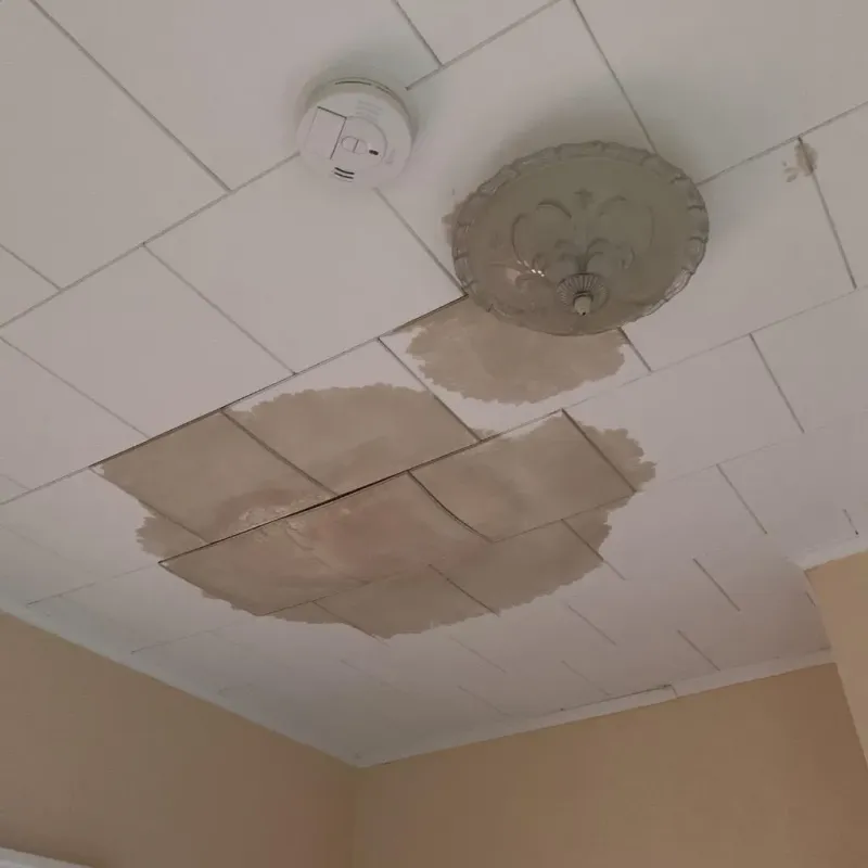 Ceiling Water Damage Repair in Maple Park, IL