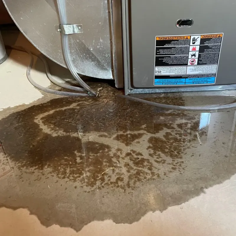 Pipe Burst and Leak Restoration in Maple Park, IL